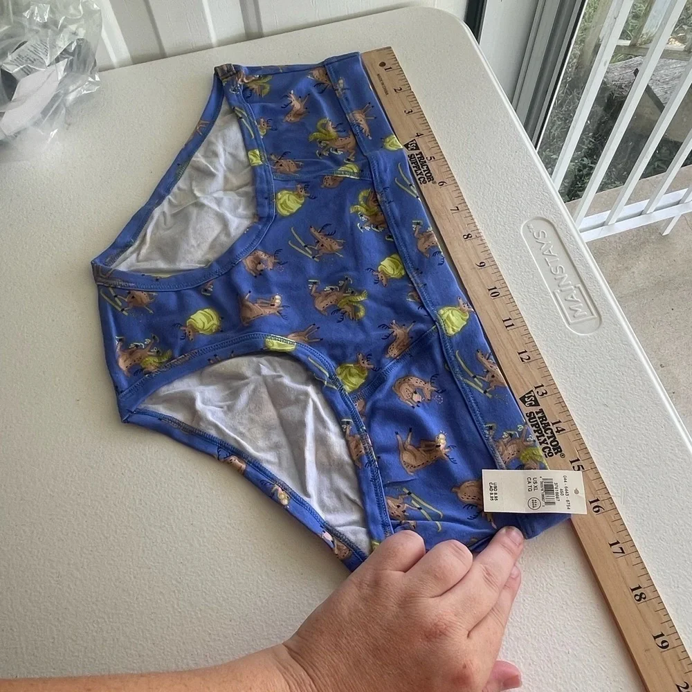 Aerie nwt blue reindeer games boy brief winter holiday panties